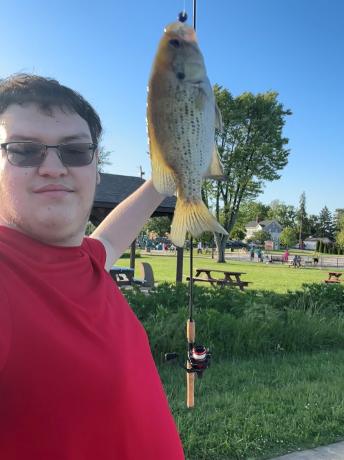 A picture of a fish caught by a fisher