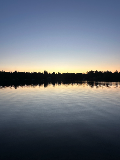 A picture of the setting sun over the water with a forest in the background